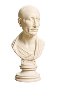 The Green Caesar (Possibly Julius Caesar) 3D Printed Collectible Bust
