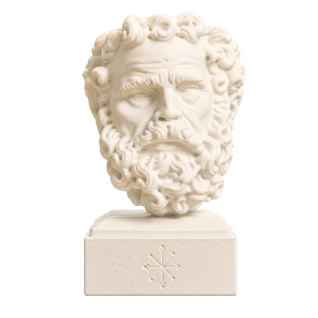 Head of a Bearded Man 3D Printed Museum Replica