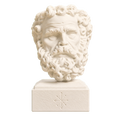 Head of a Bearded Man 3D Printed Museum Replica