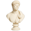 Portrait with Panther Skin 3D Printed Collectible Bust
