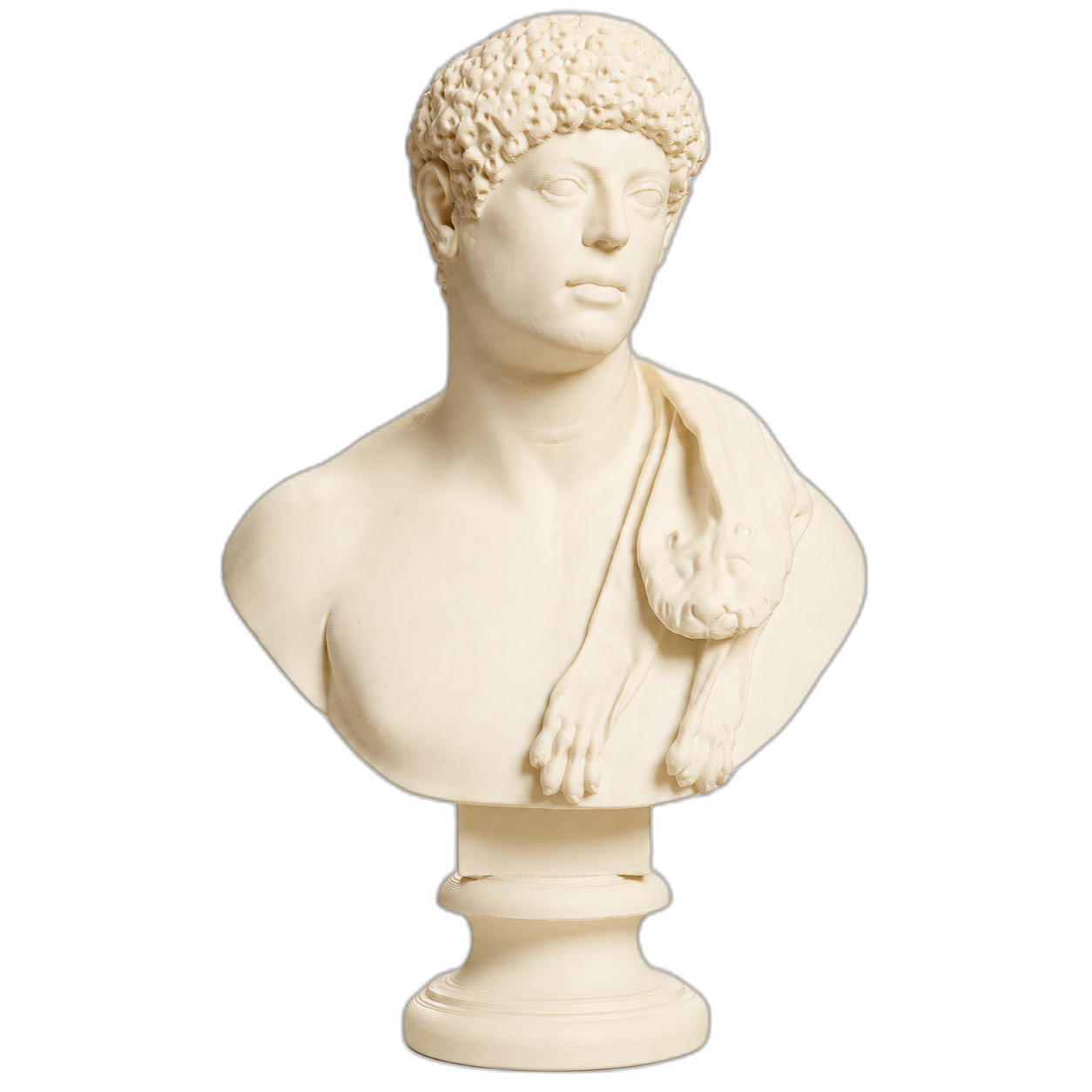 Portrait with Panther Skin 3D Printed Collectible Bust