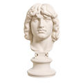 Head of a Barbarian Chief 3D Printed Museum Replica