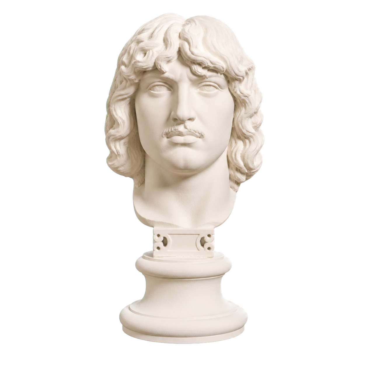 Head of a Barbarian Chief 3D Printed Museum Replica