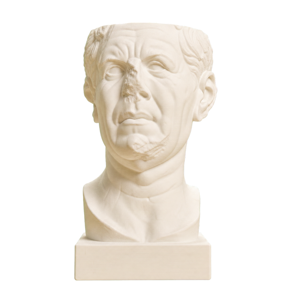 So-Called Tivoli General 3D Printed Museum Portrait Replica
