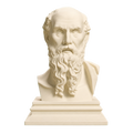 Diogenes 3D Printed Collectible Bust