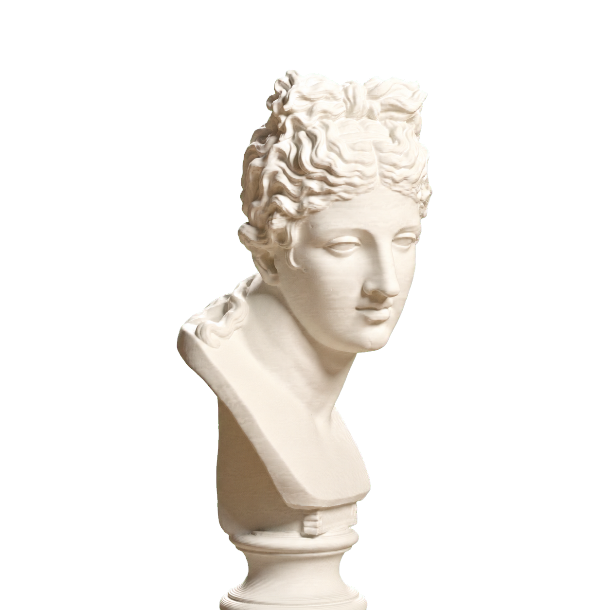 Roman Woman with Head Turned Right 3D Printed Collectible Bust