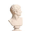 Bearded Man with Turned Head 3D Printed Collectible Bust