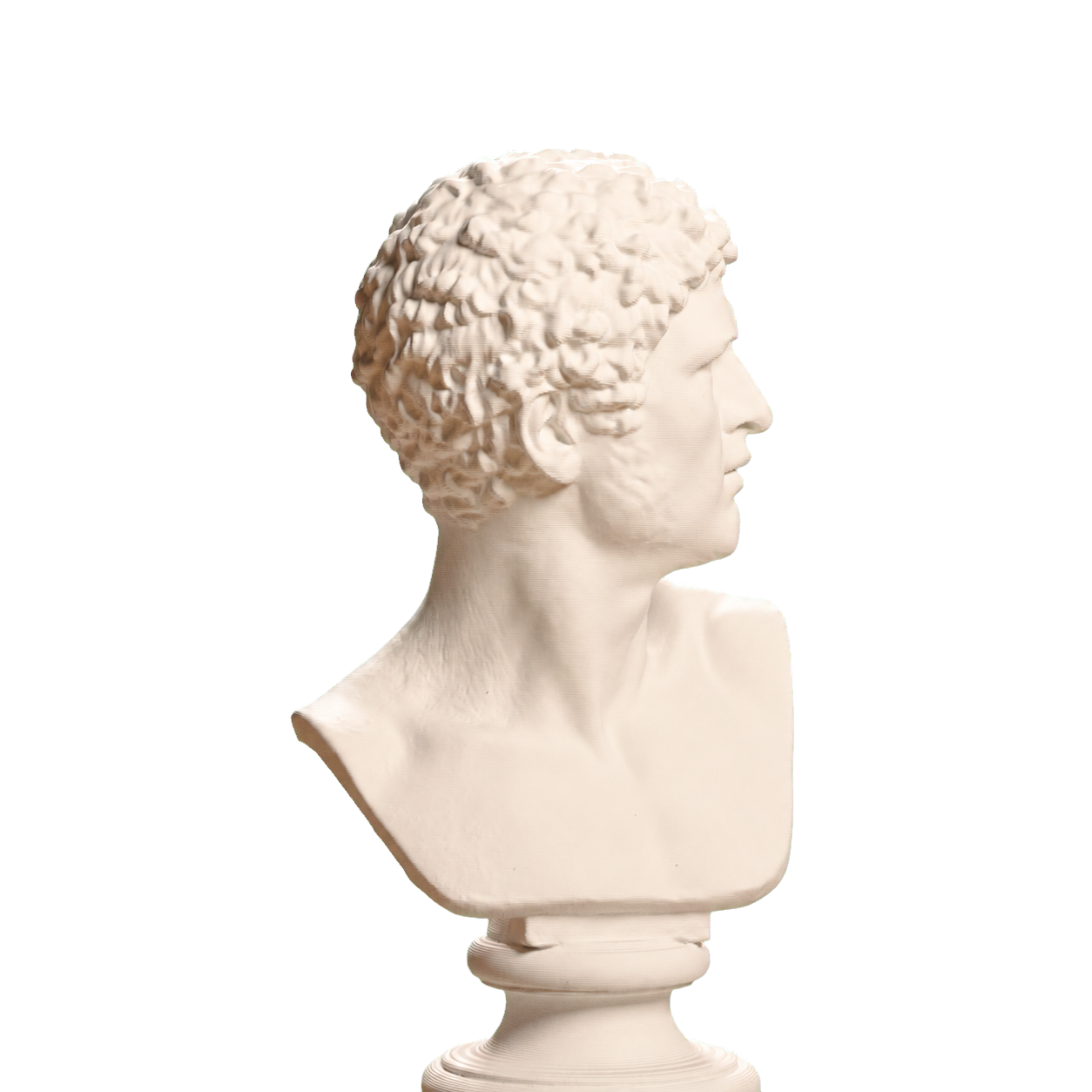 Bearded Man with Turned Head 3D Printed Collectible Bust
