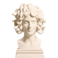 Medusa 3D Printed Collectible Bust