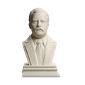Theodore Roosevelt 3D Printed Collectible Bust