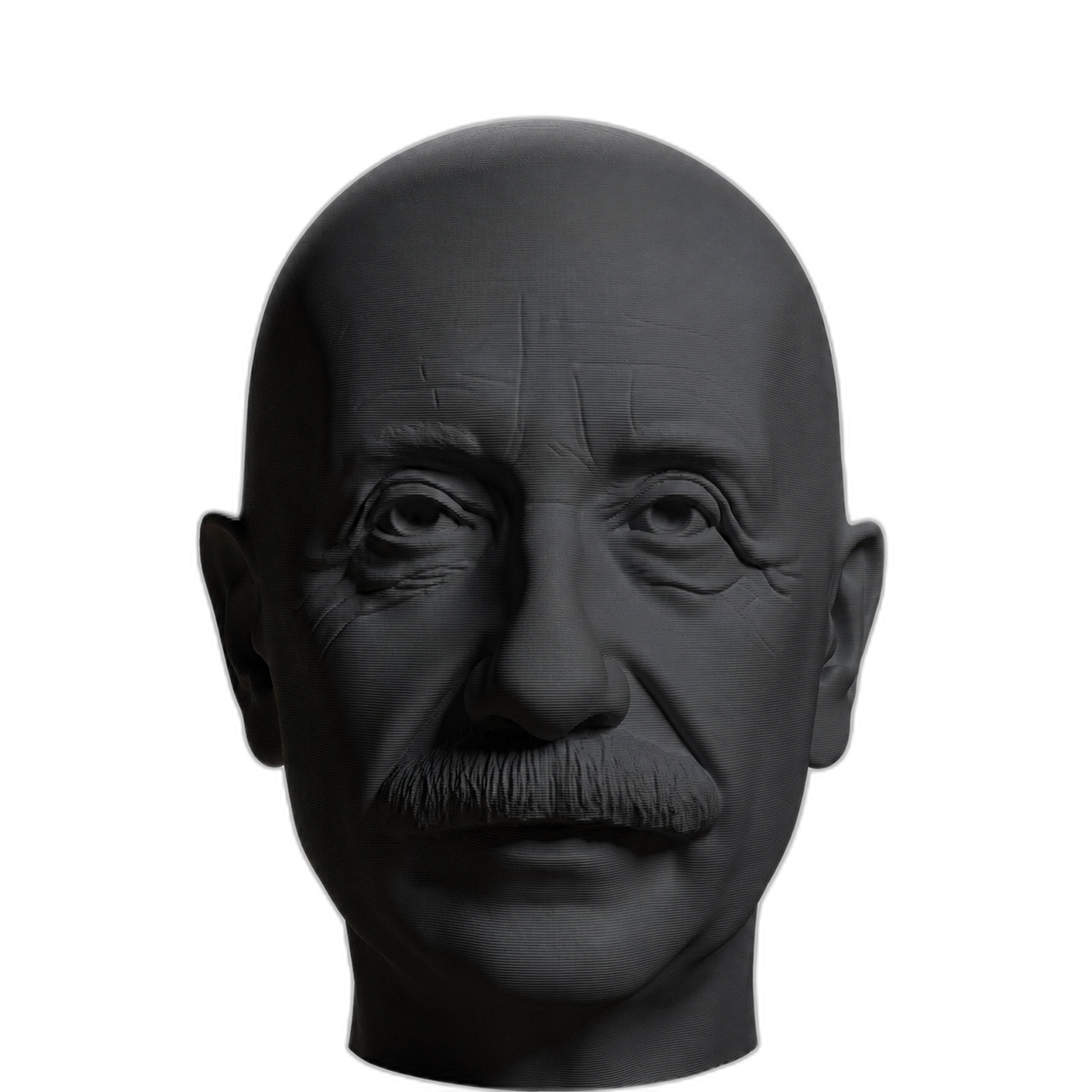 Albert Einstein 3D Printed Collectible Bust