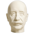 Albert Einstein 3D Printed Collectible Bust