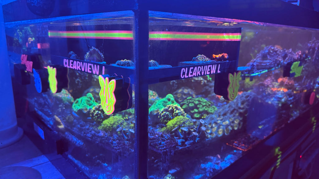 Large ClearView Coral Viewer
