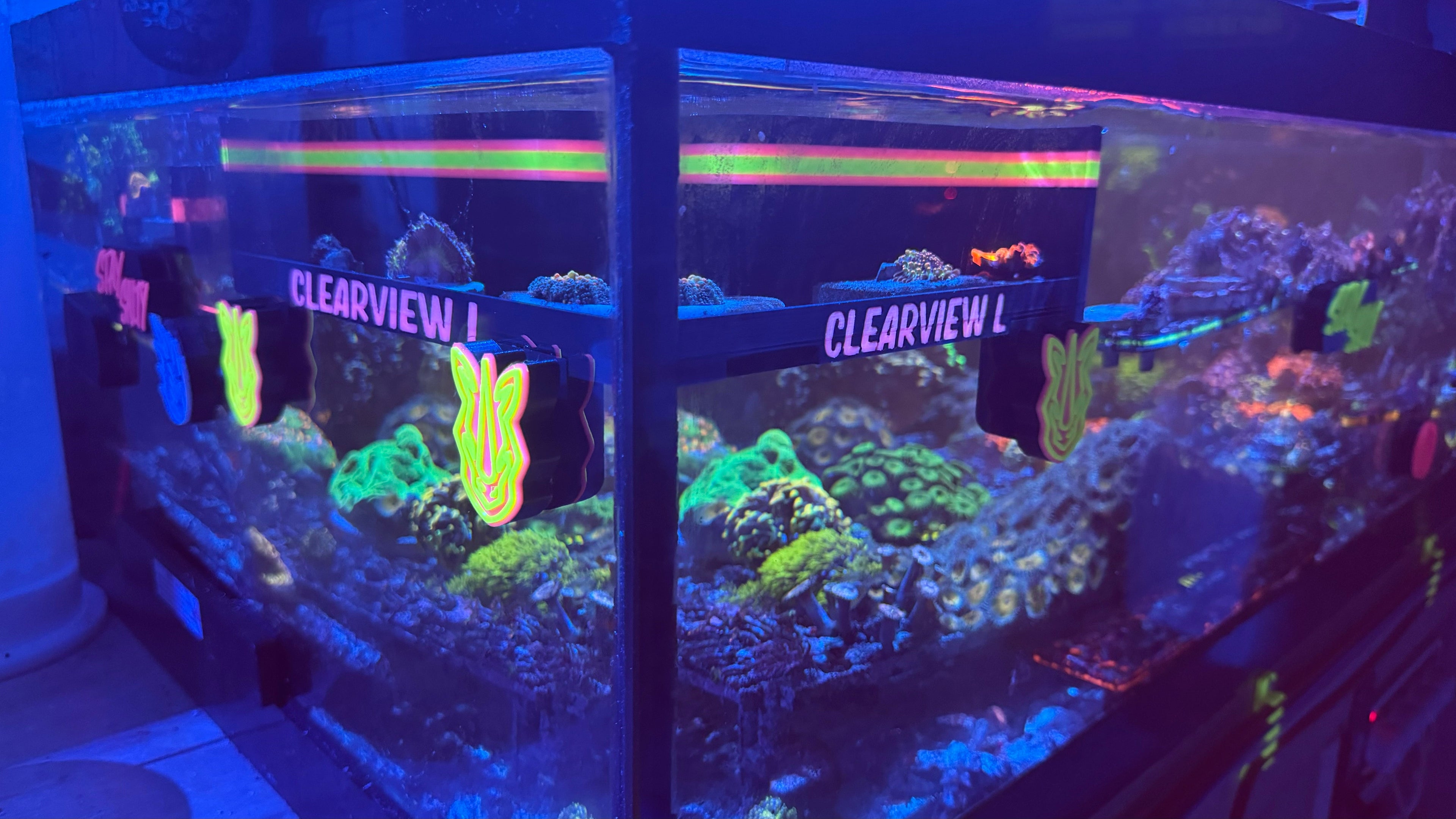 Large ClearView Coral Viewer