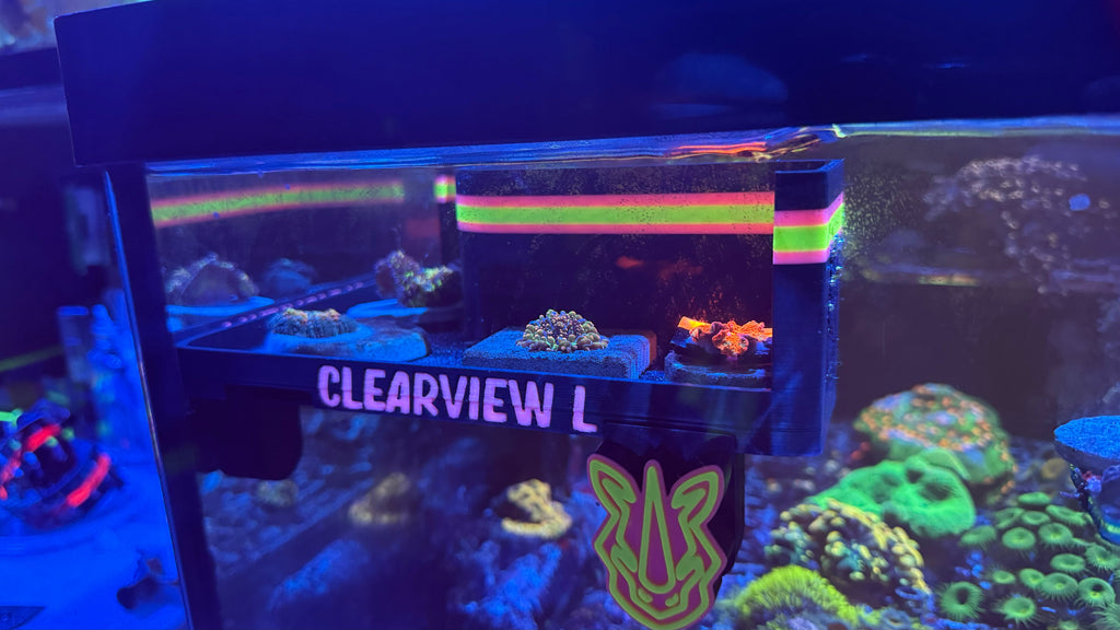 Large ClearView Coral Viewer