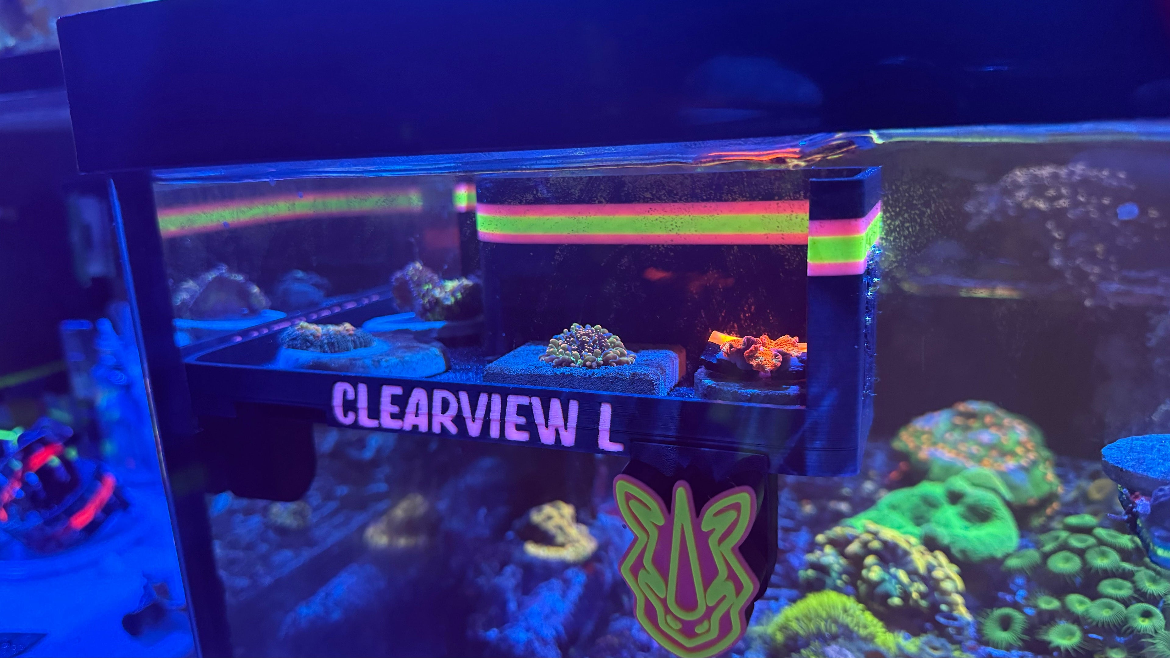 Large ClearView Coral Viewer