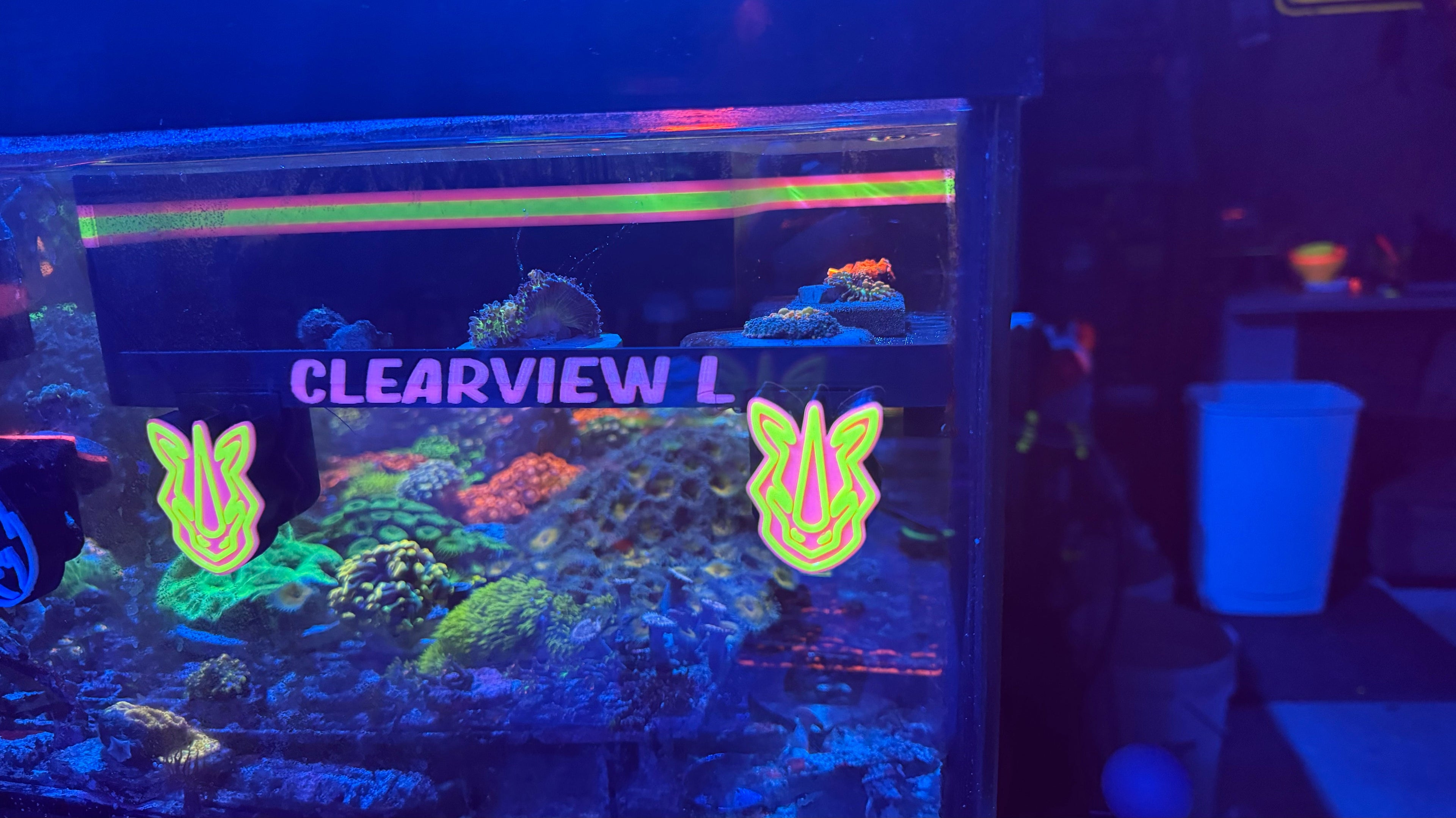 Large ClearView Coral Viewer