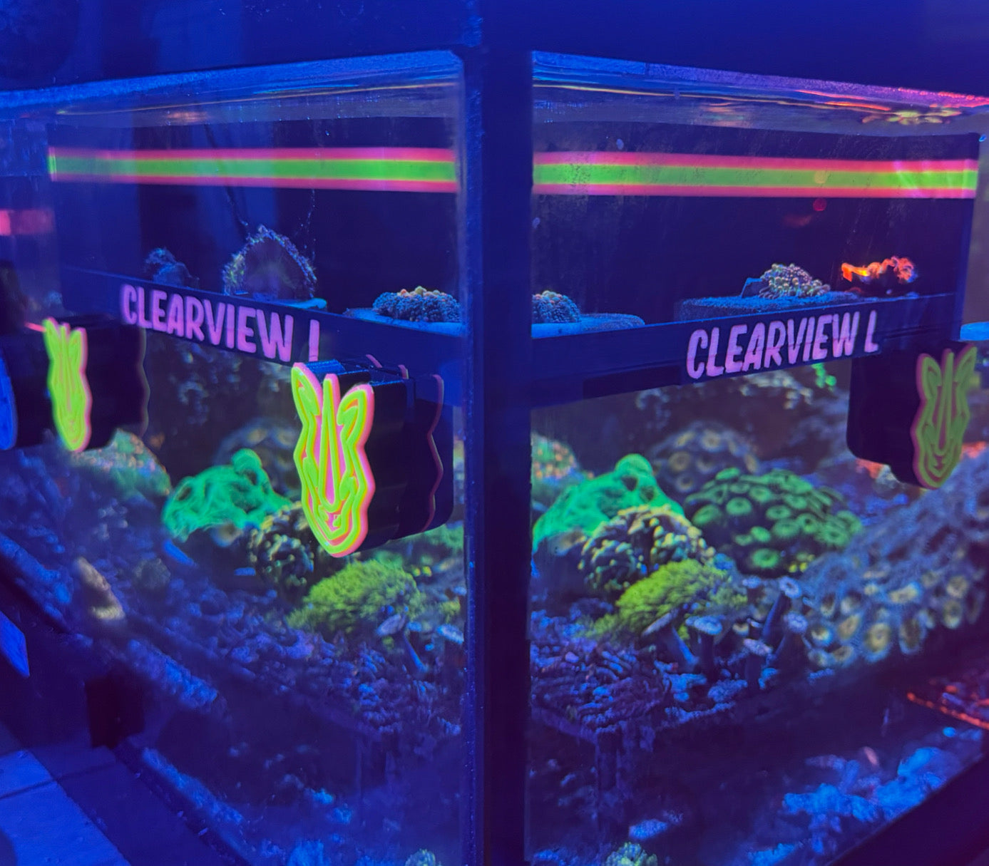 Large ClearView Coral Viewer