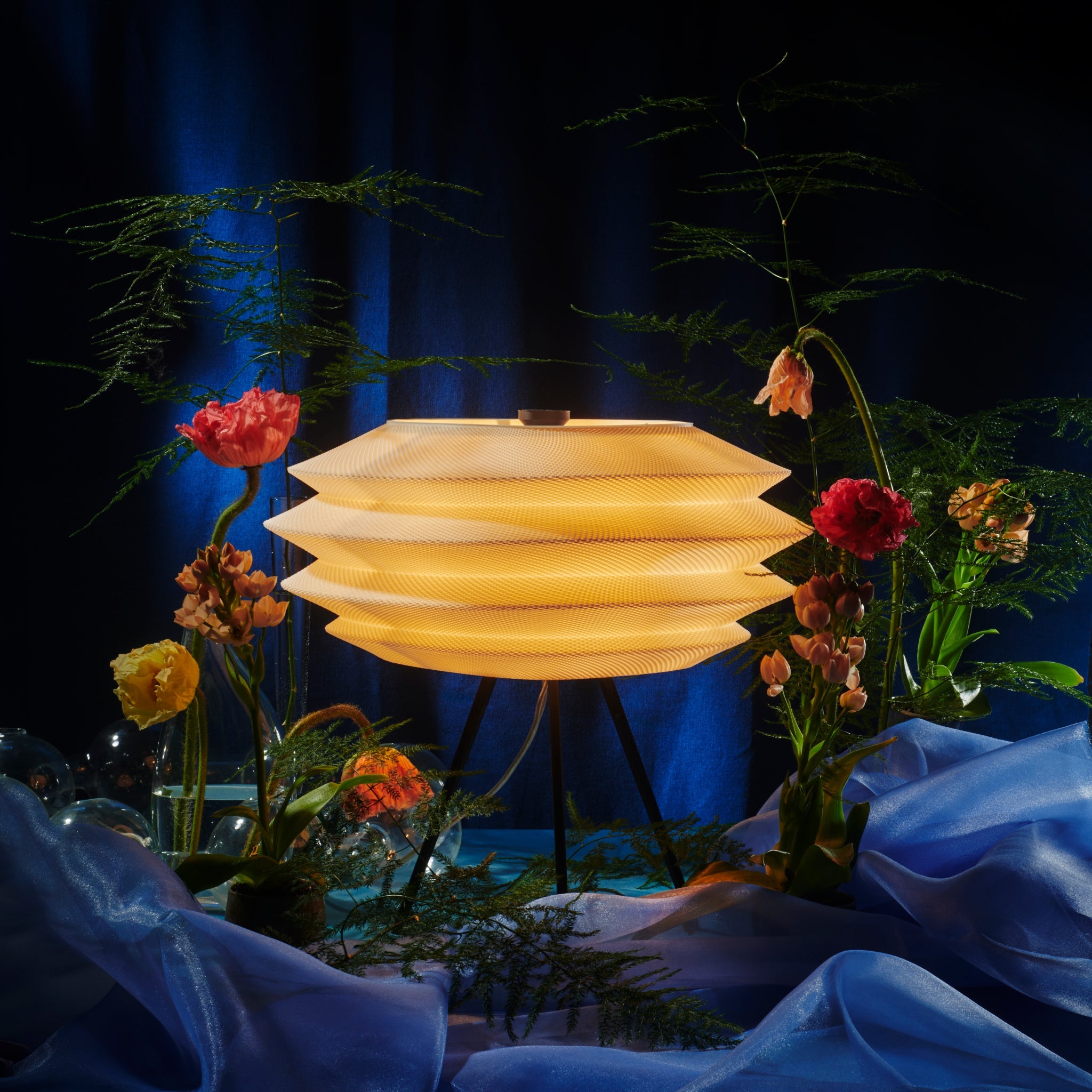 Arcas Lamp