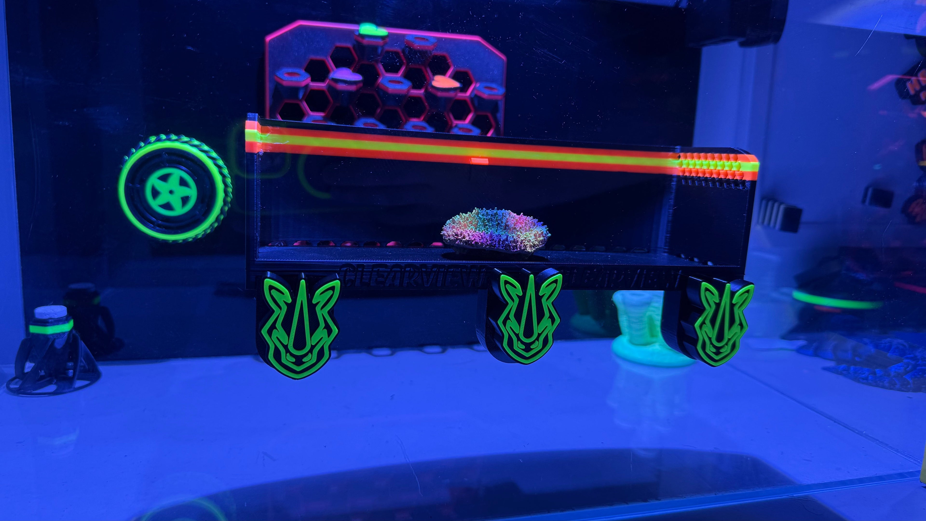 XL ClearView Coral Viewer