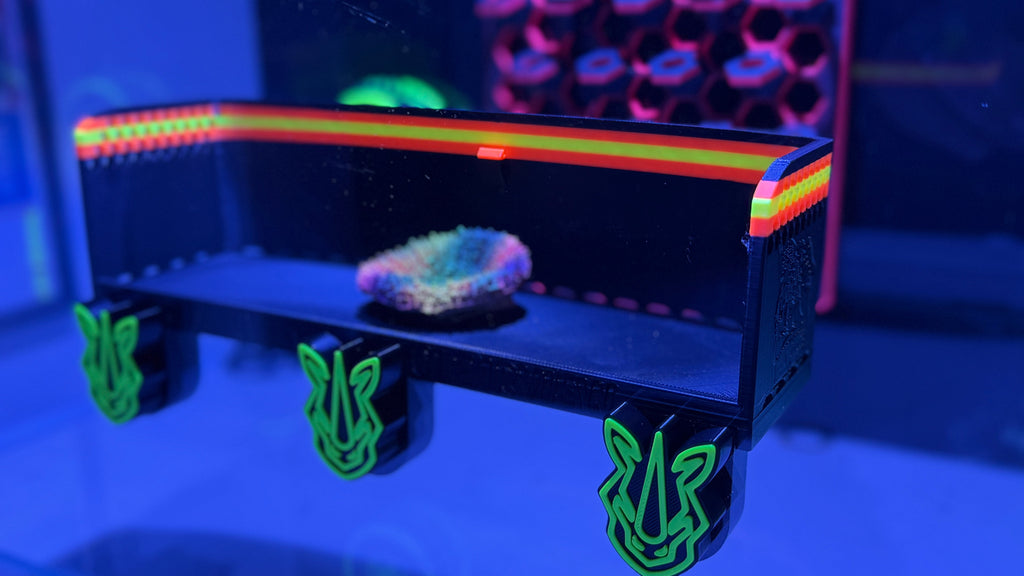 XL ClearView Coral Viewer