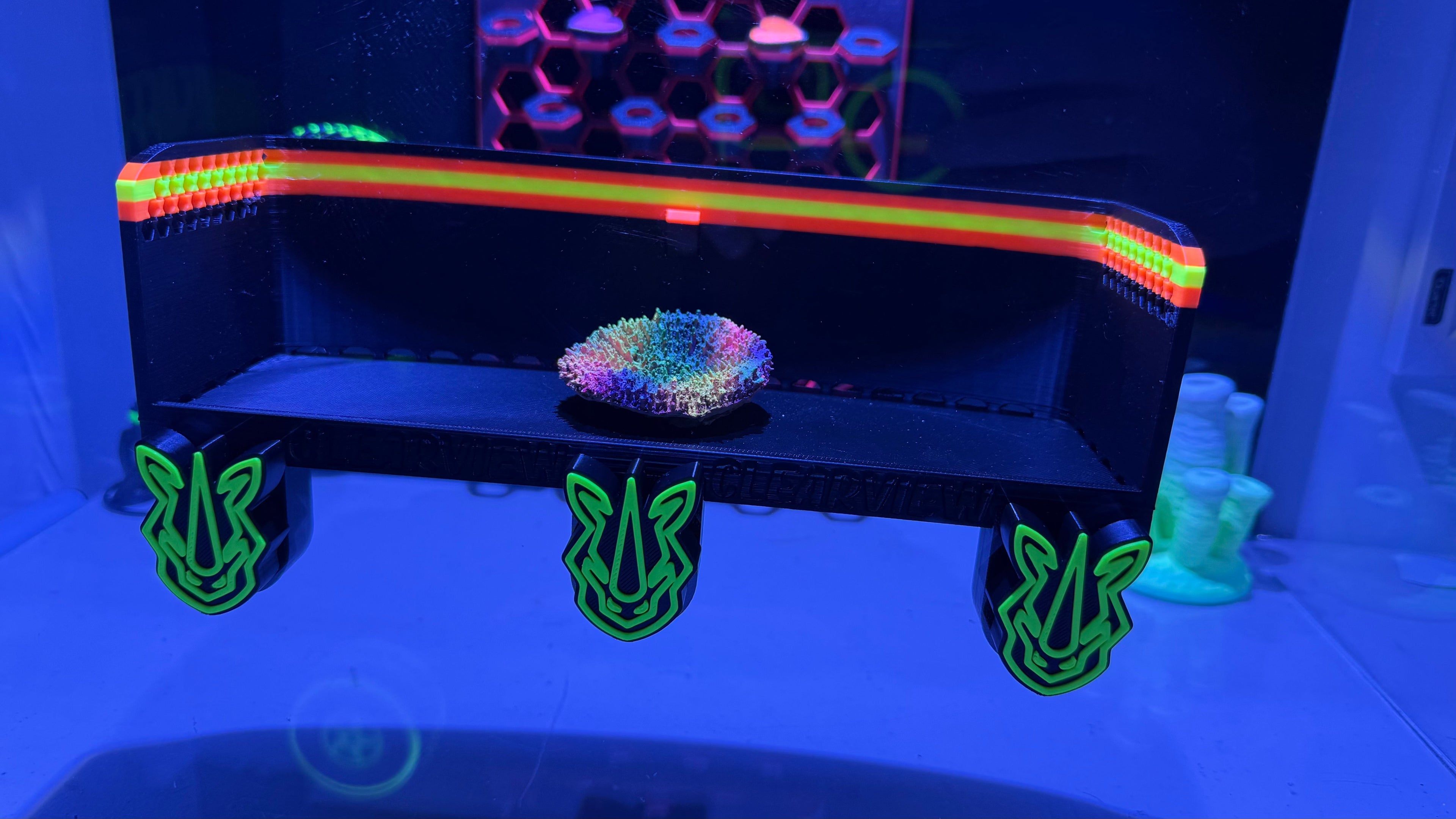 XL ClearView Coral Viewer