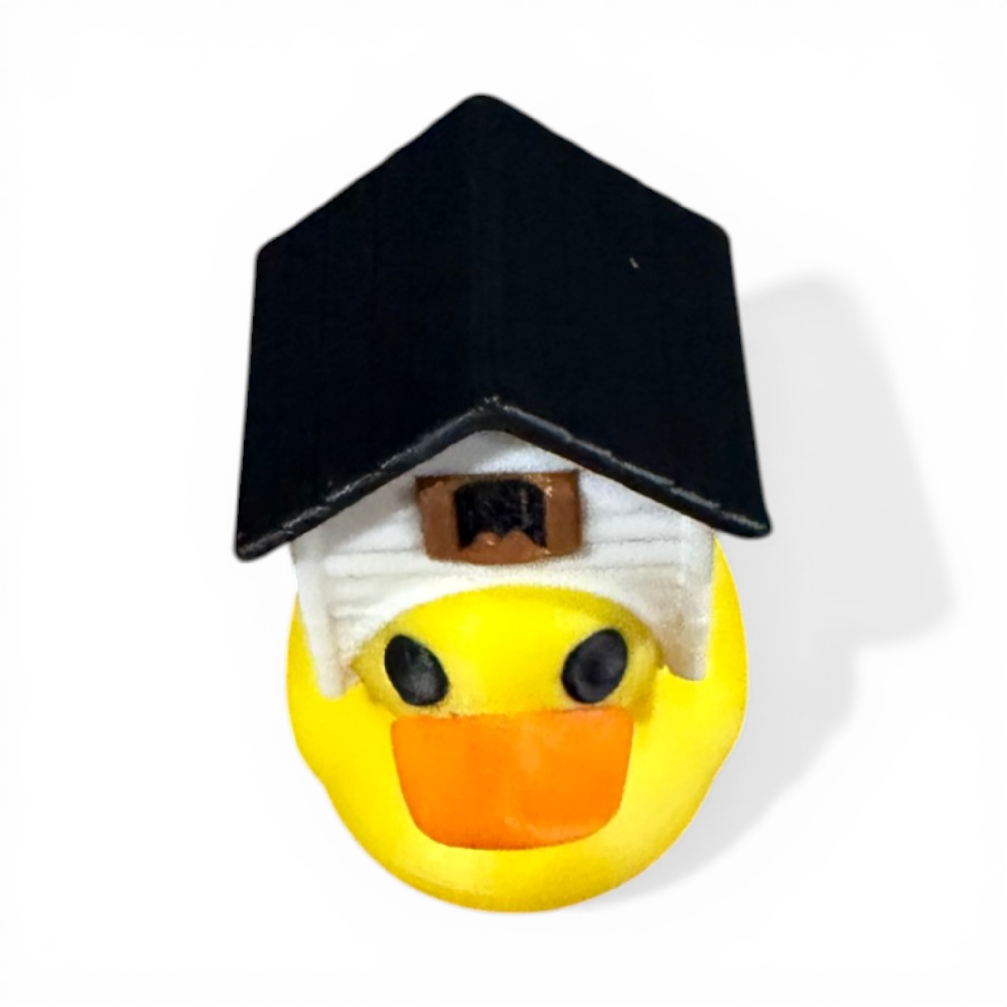 House Duck | Realtor Duck | The Quirky Quack with Real Estate on the Brain