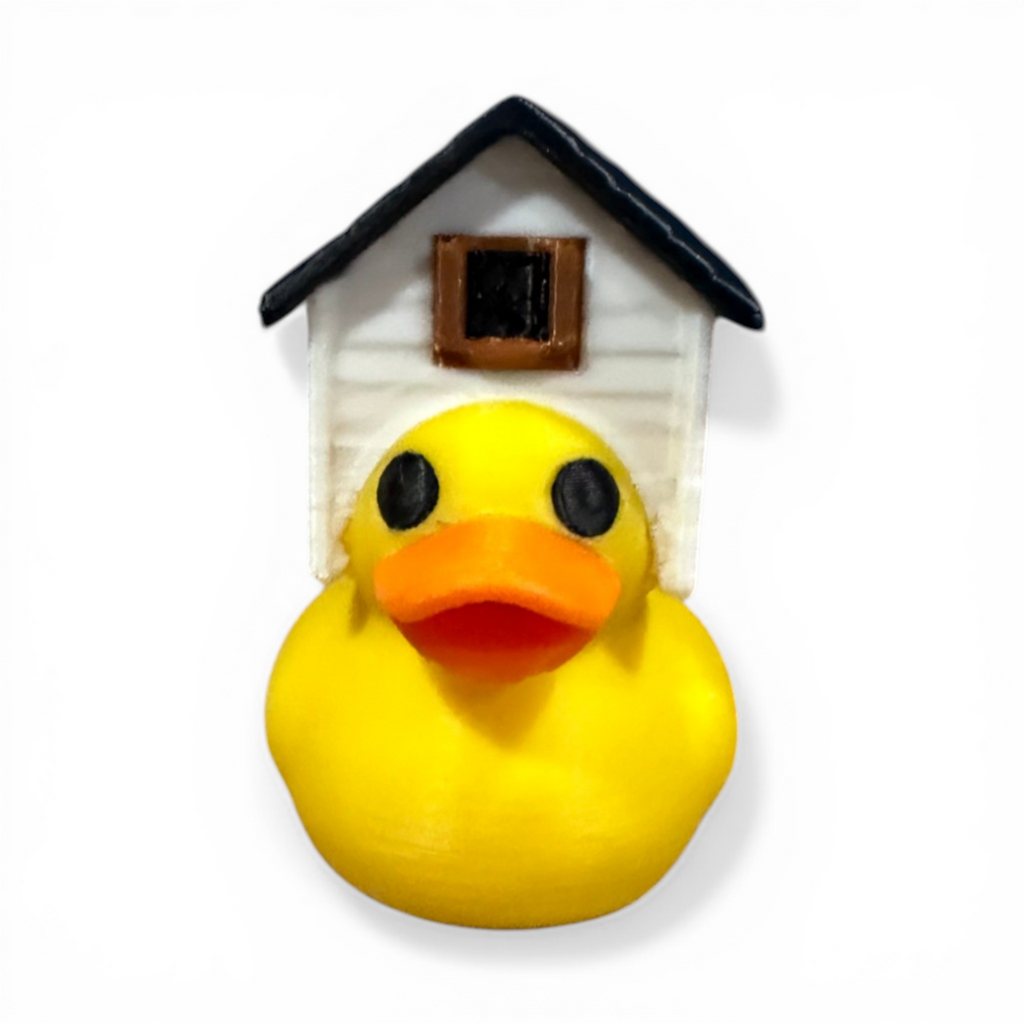 House Duck | Realtor Duck | The Quirky Quack with Real Estate on the Brain