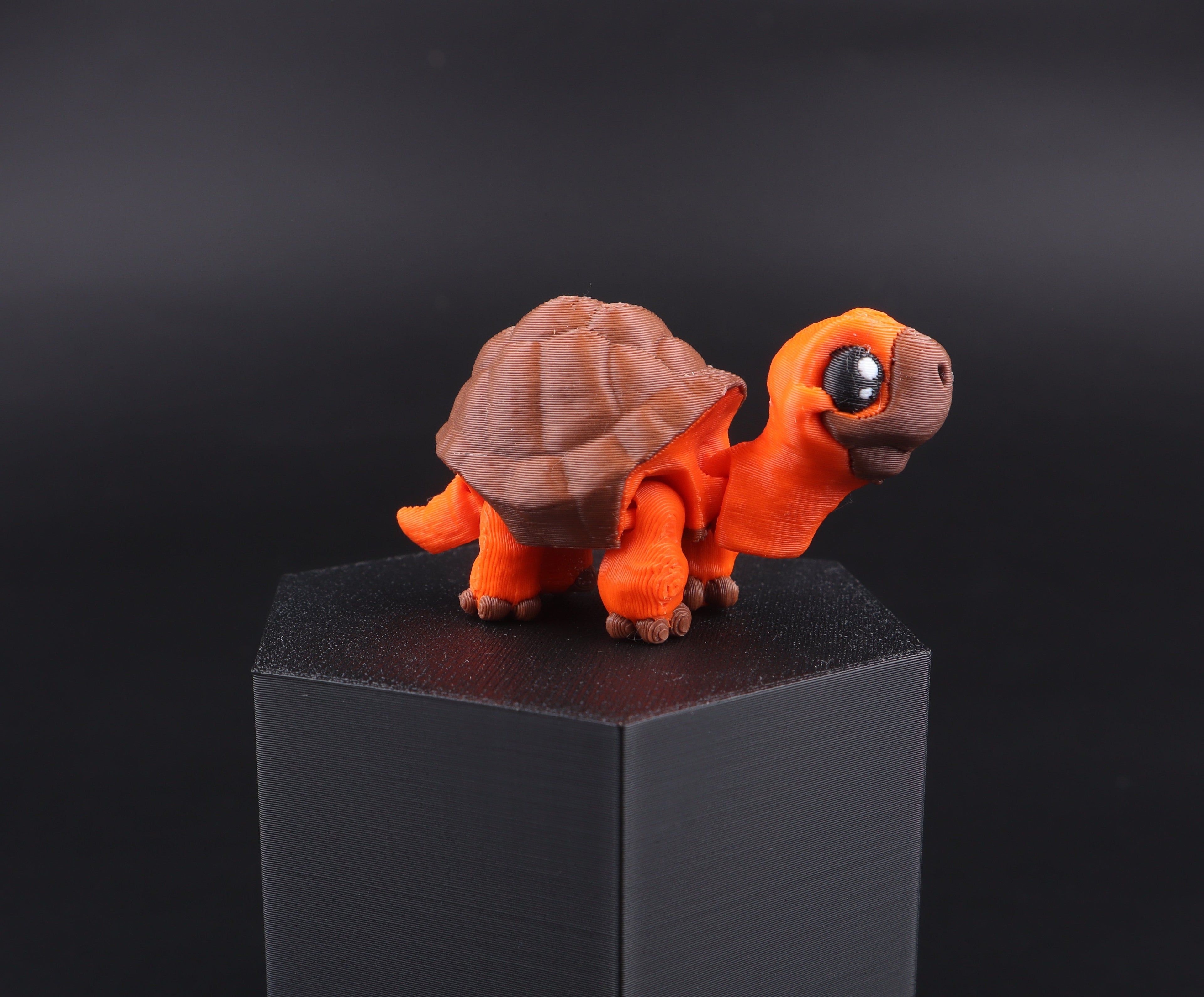 Mini Water Animal Fidget Set
