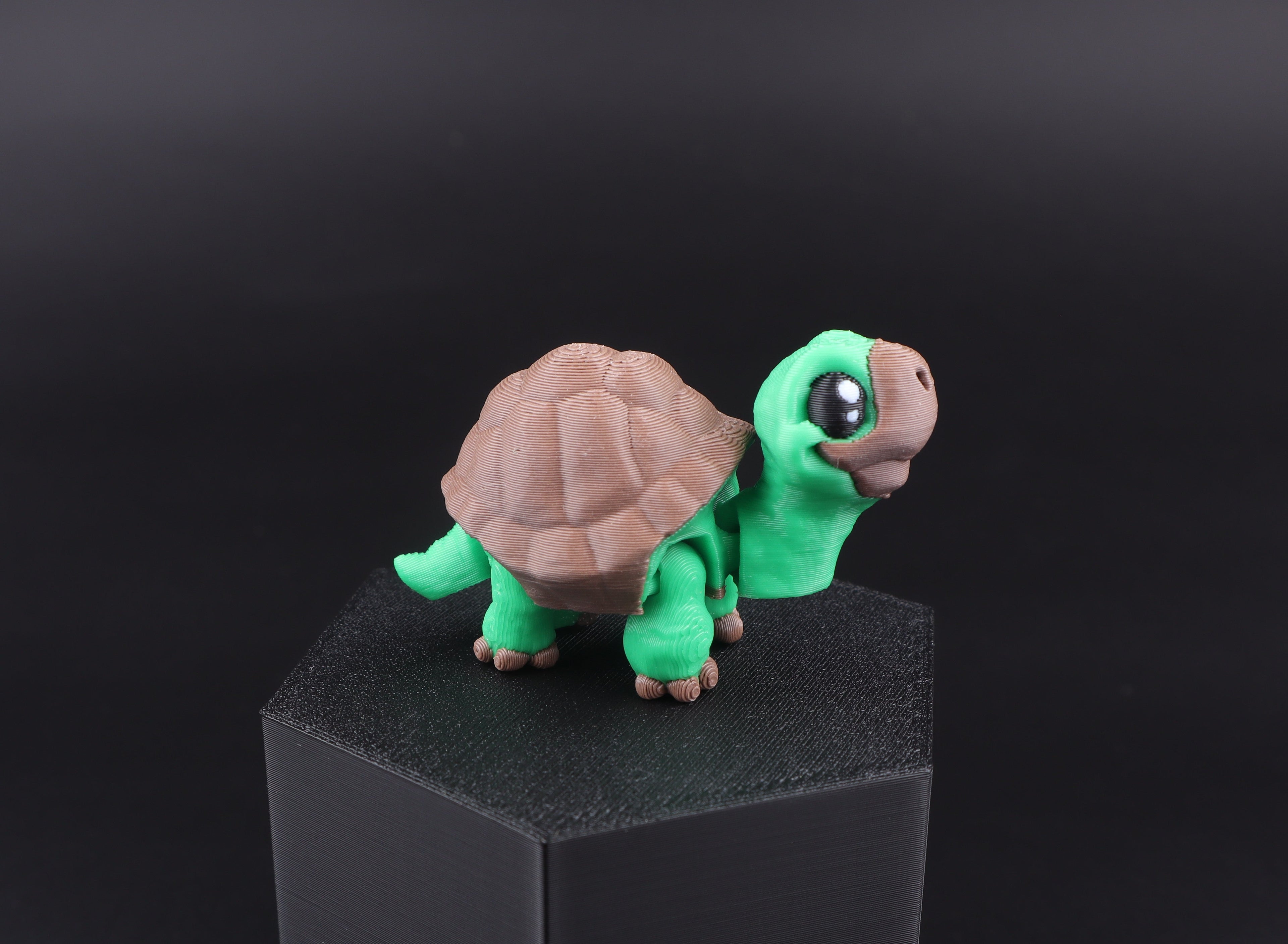 Mini Water Animal Fidget Set