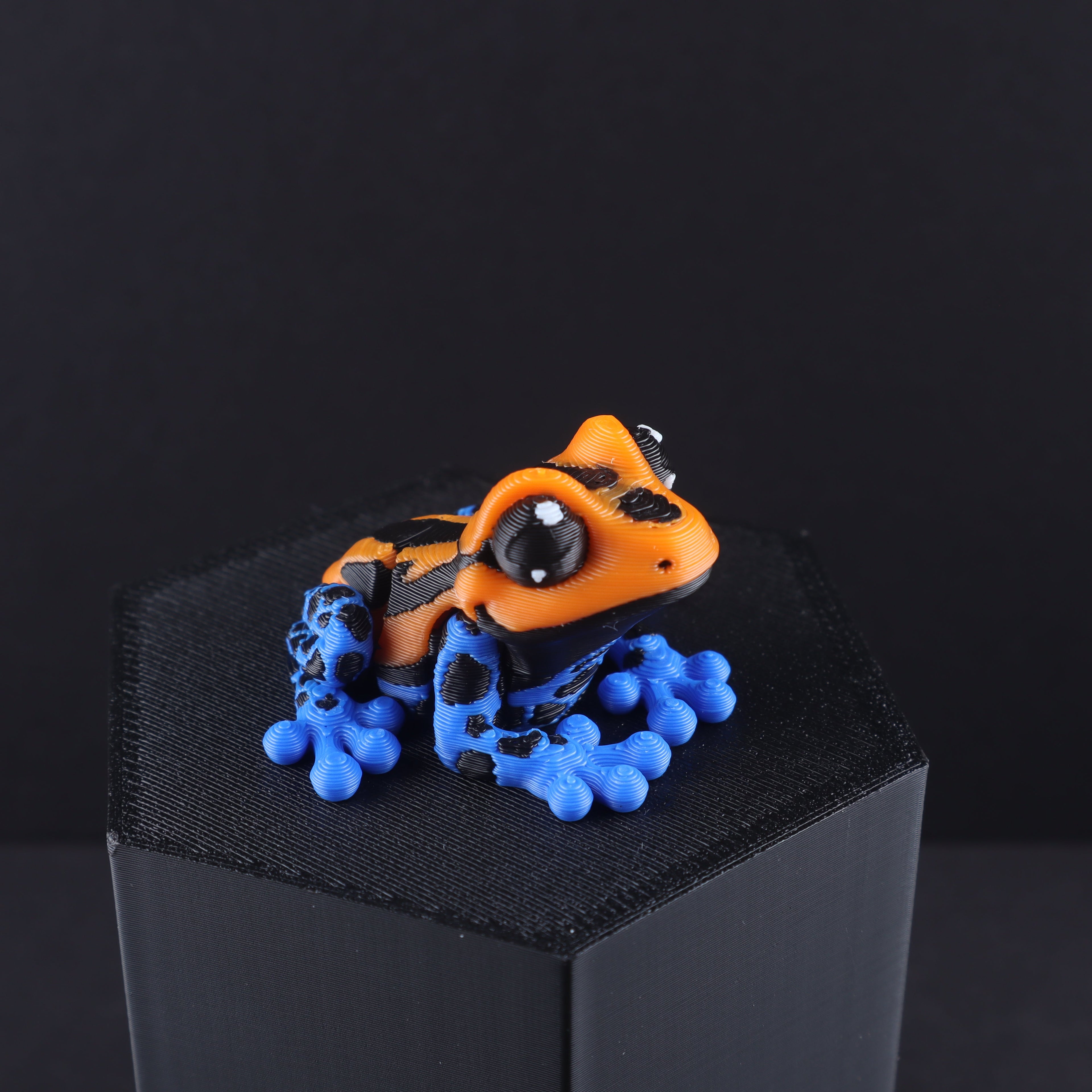 Mini Reptile and Amphibian Fidget Set