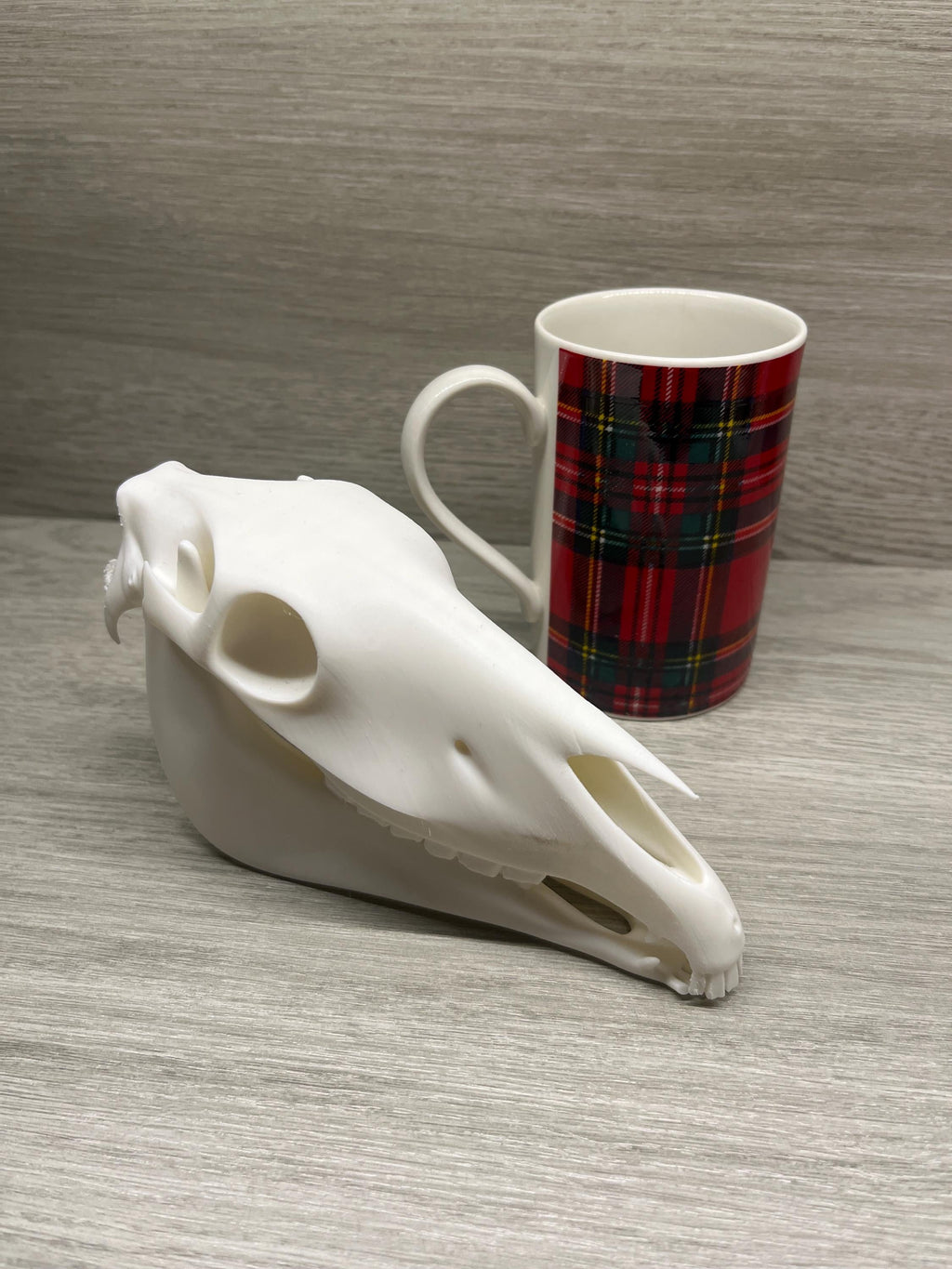 7 inch 3D Printed Horse Skull