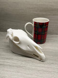 7 inch 3D Printed Horse Skull