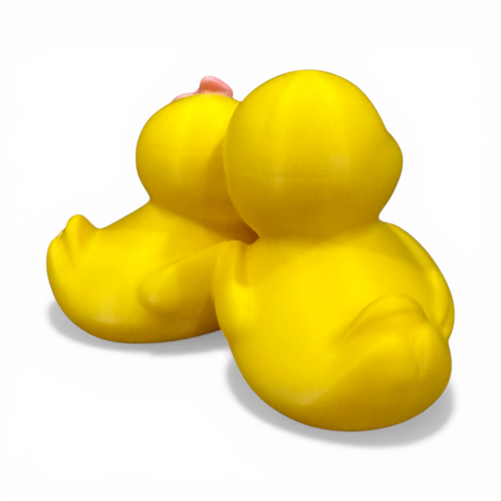 Couples Duck - 3D Printed Collectible Duck