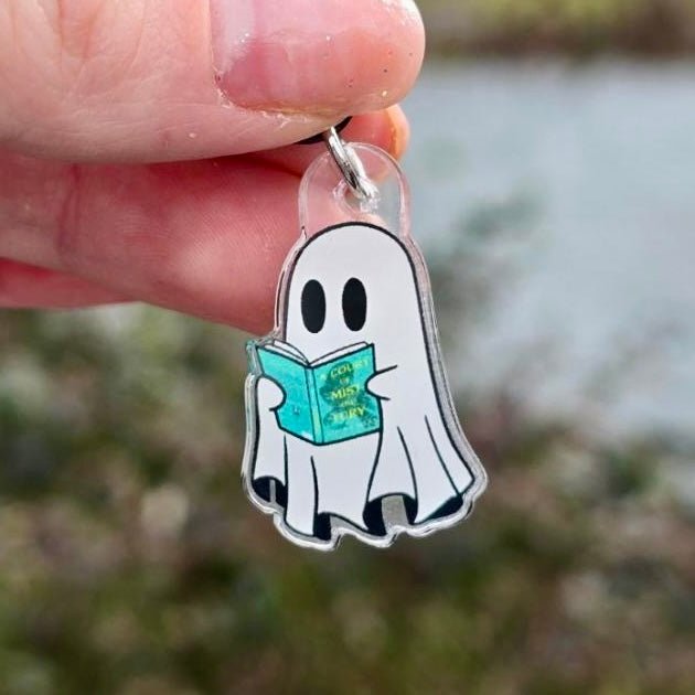 Ghost Reading A Court of Mist and Fury Dust Plug USB-C