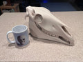 Extra Large 3D Printed Horse Skull: PLA Plastic, 12-Inch