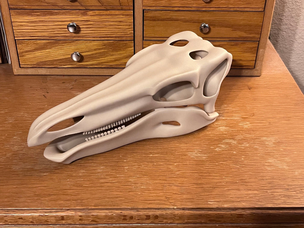 10 inch Stegosaur Skull (3D Printed PLA Plastic)