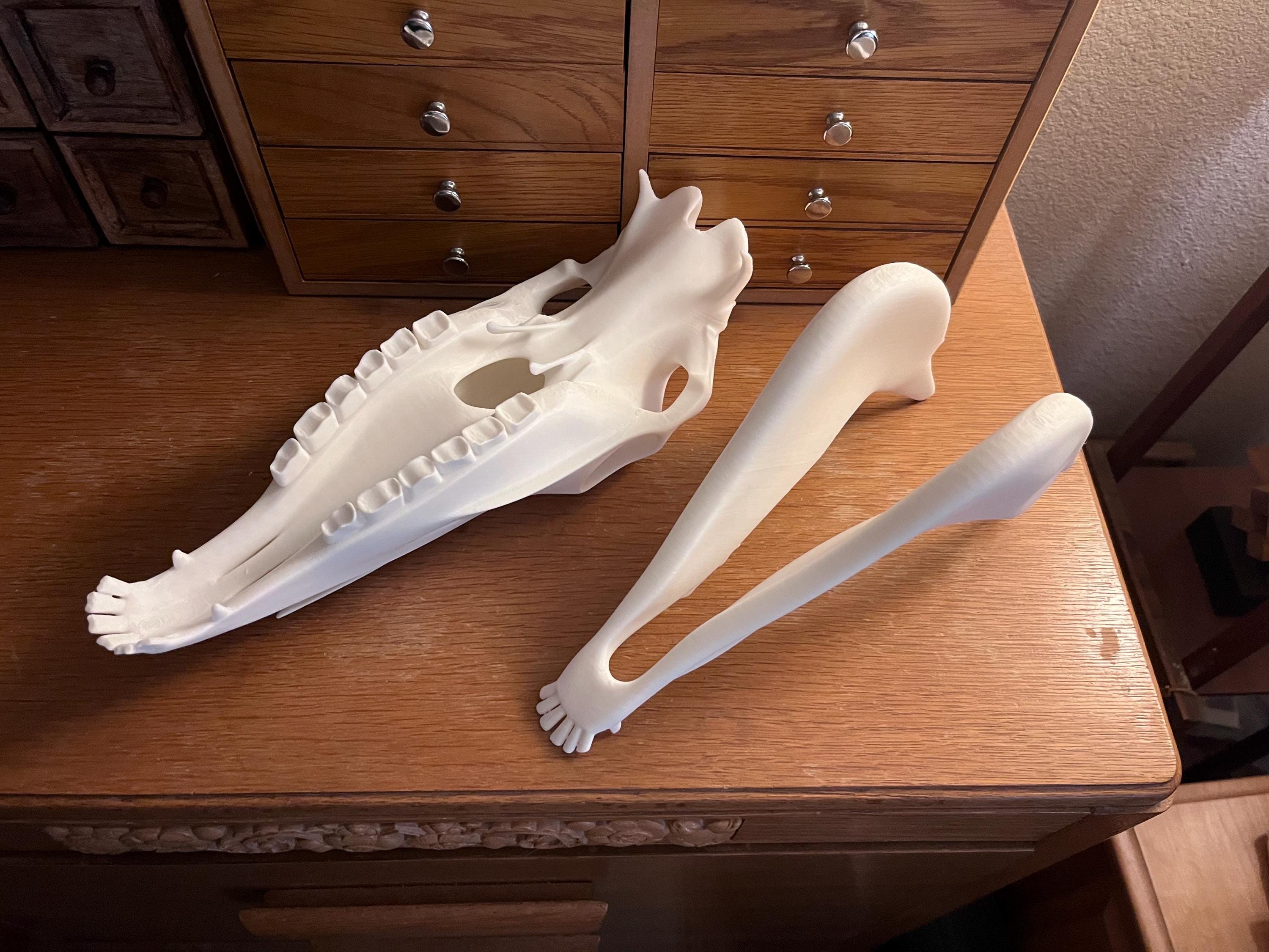 Extra Large 3D Printed Horse Skull: PLA Plastic, 12-Inch