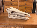 10 inch Stegosaur Skull (3D Printed PLA Plastic)