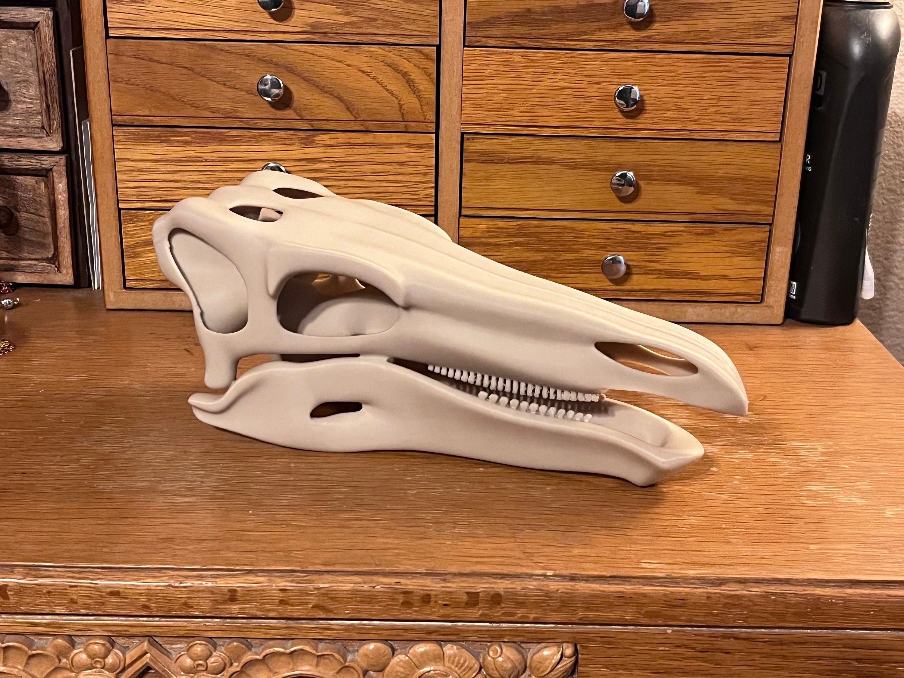 10 inch Stegosaur Skull (3D Printed PLA Plastic)