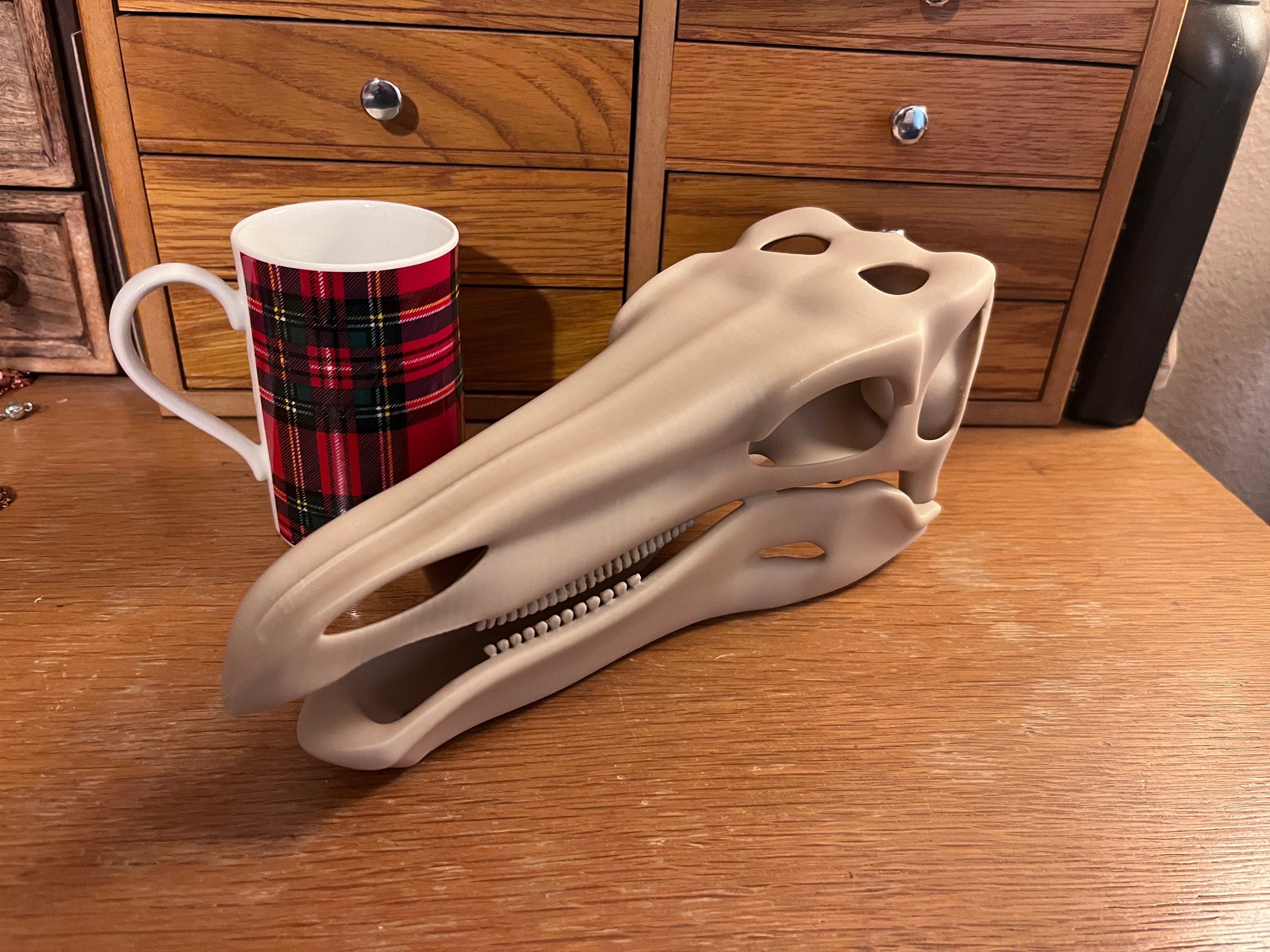 10 inch Stegosaur Skull (3D Printed PLA Plastic)