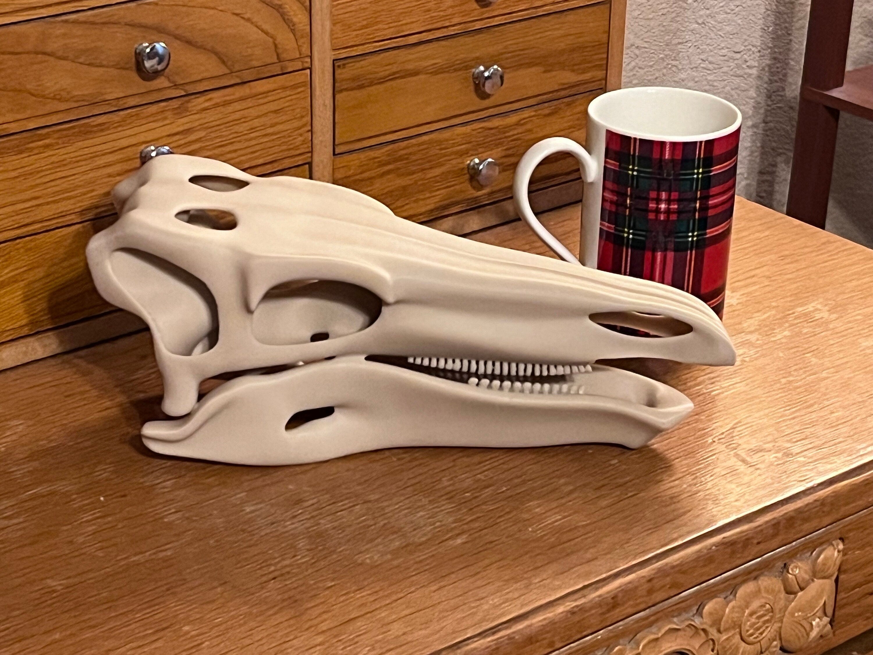 10 inch Stegosaur Skull (3D Printed PLA Plastic)