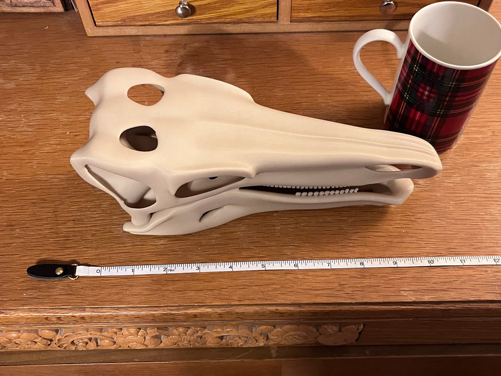 10 inch Stegosaur Skull (3D Printed PLA Plastic)