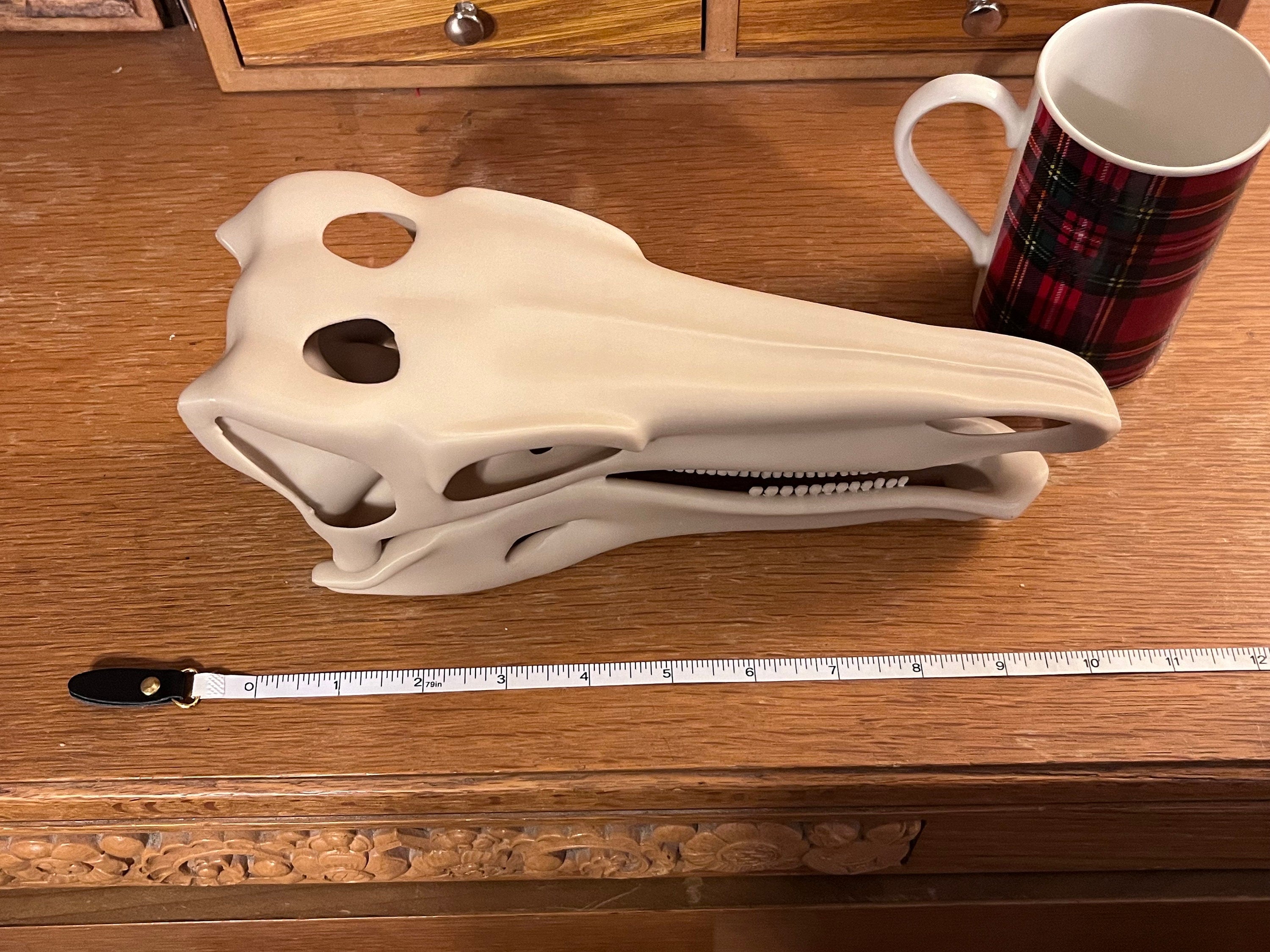 10 inch Stegosaur Skull (3D Printed PLA Plastic)