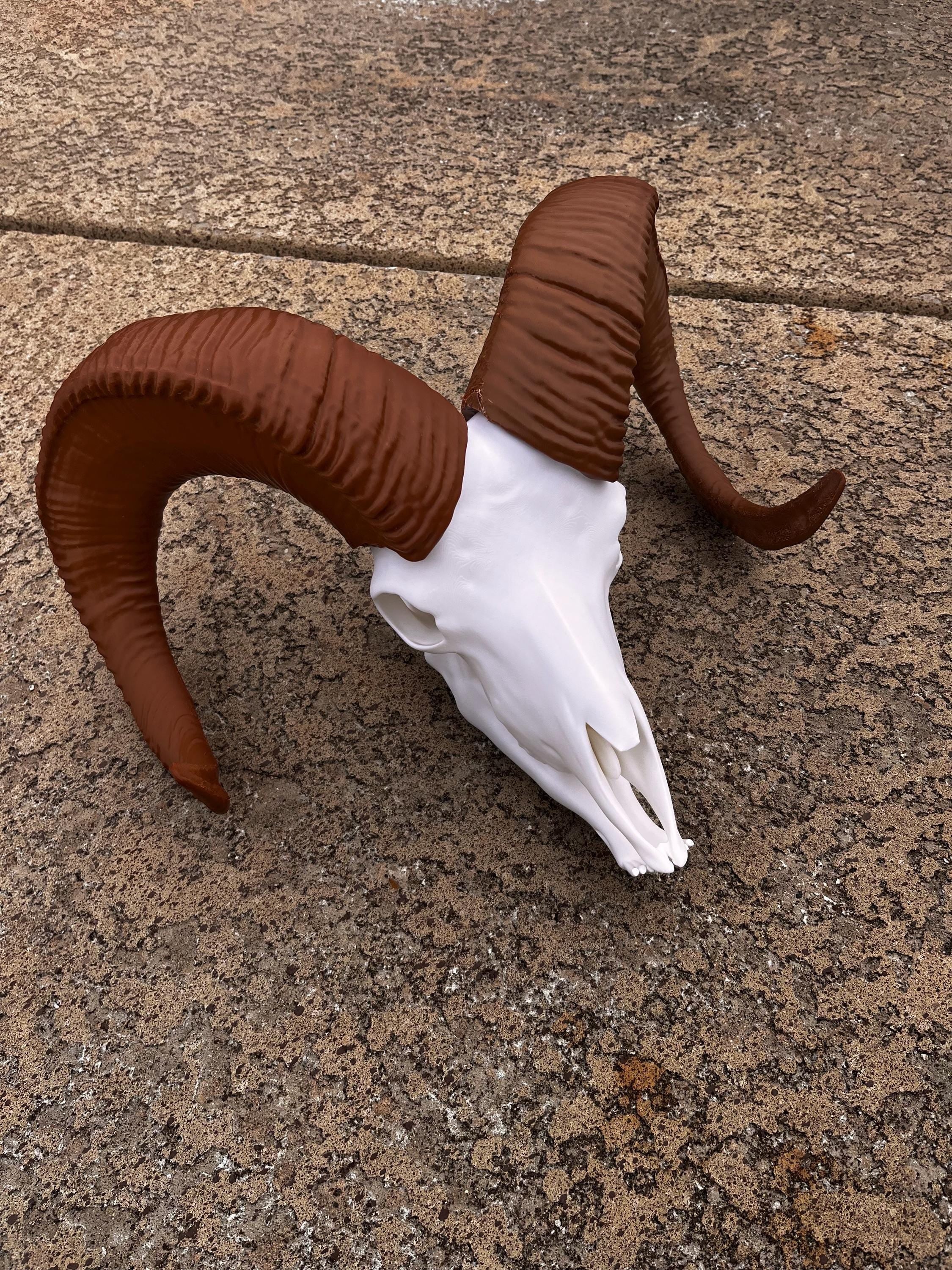 3D Printed Bighorn Sheep Skull Replica: Gothic Altar Decor