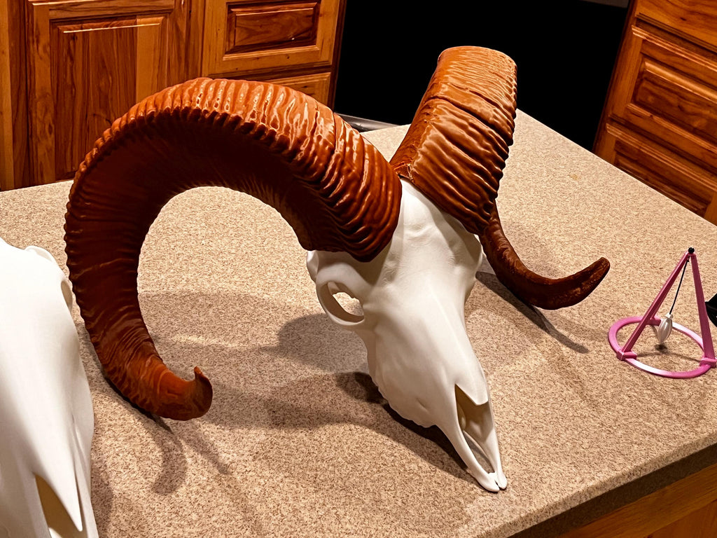3D Printed Bighorn Sheep Skull Replica: Gothic Altar Decor