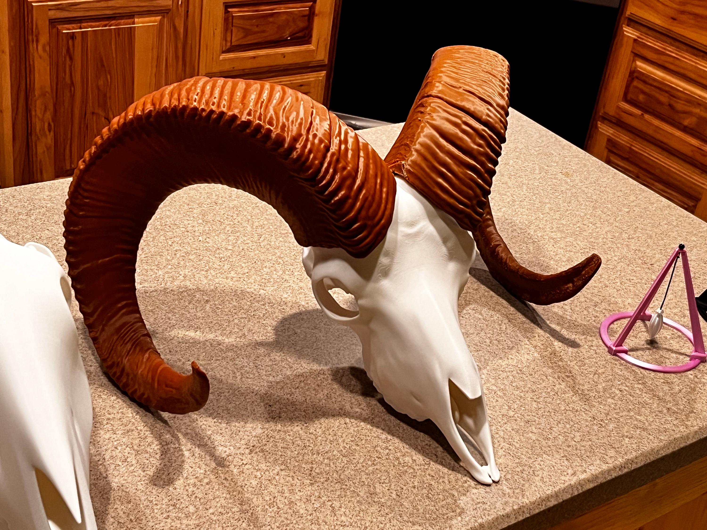 3D Printed Bighorn Sheep Skull Replica: Gothic Altar Decor