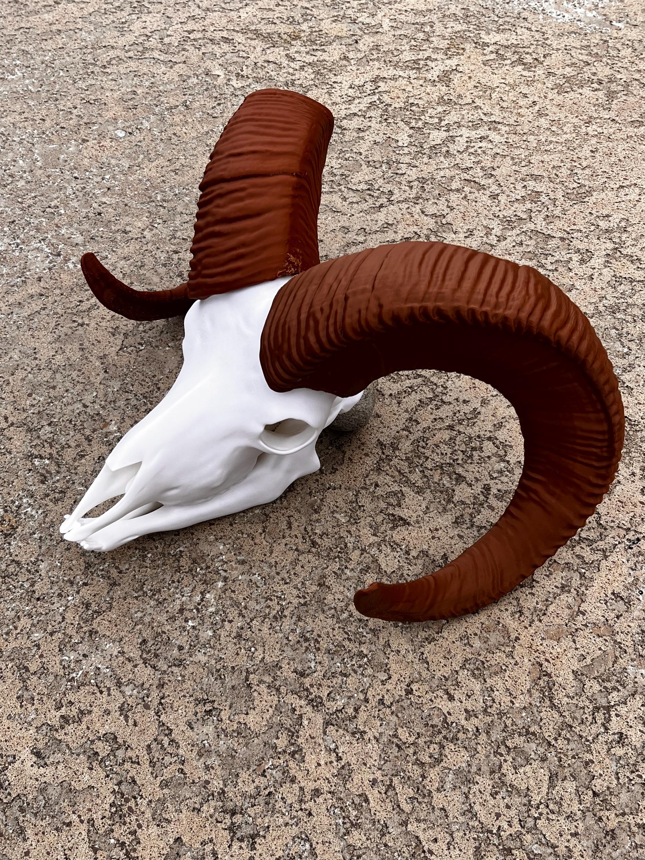 3D Printed Bighorn Sheep Skull Replica: Gothic Altar Decor