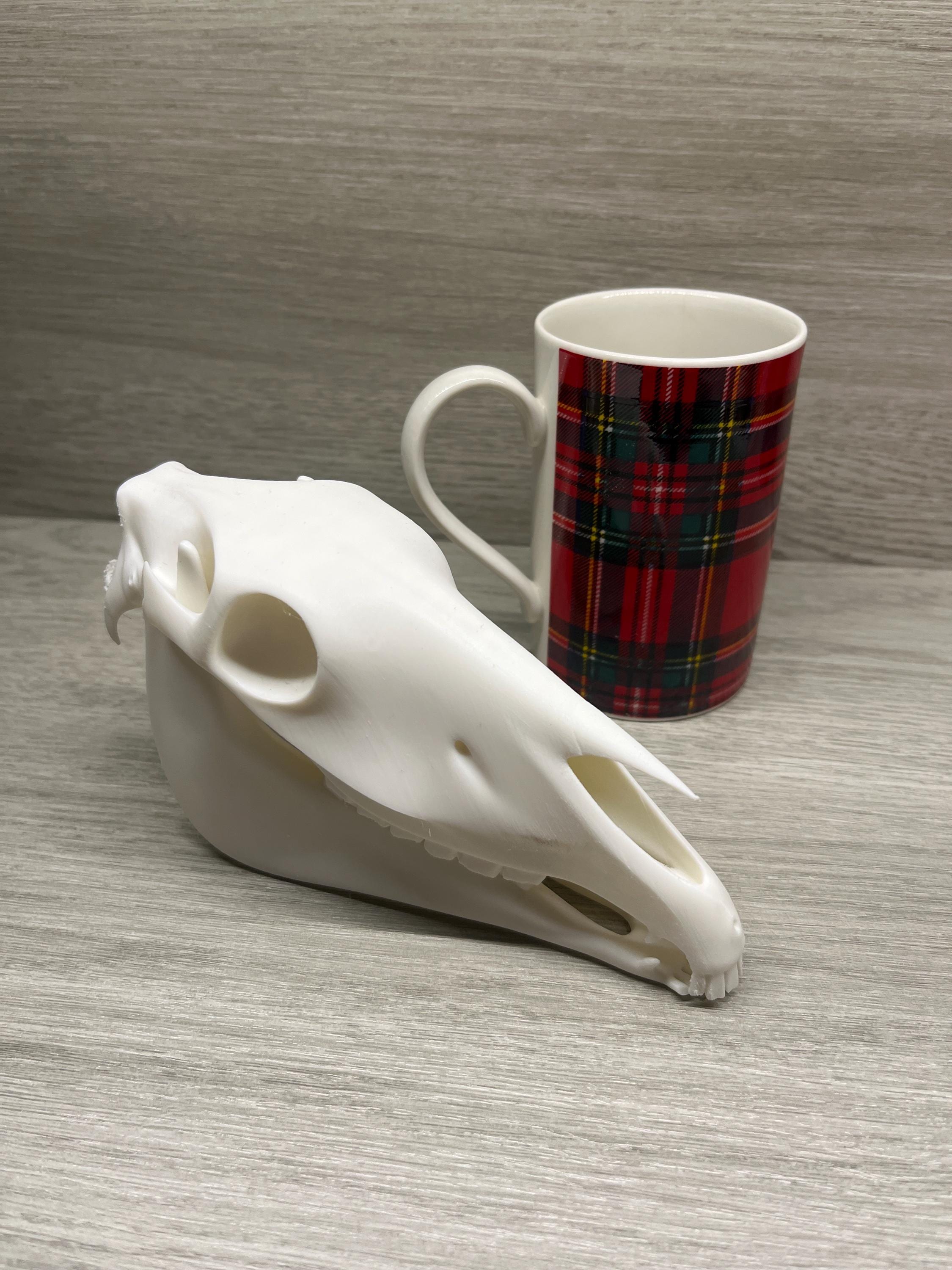 7 inch Horse Skull (3D Printed PLA Plastic)