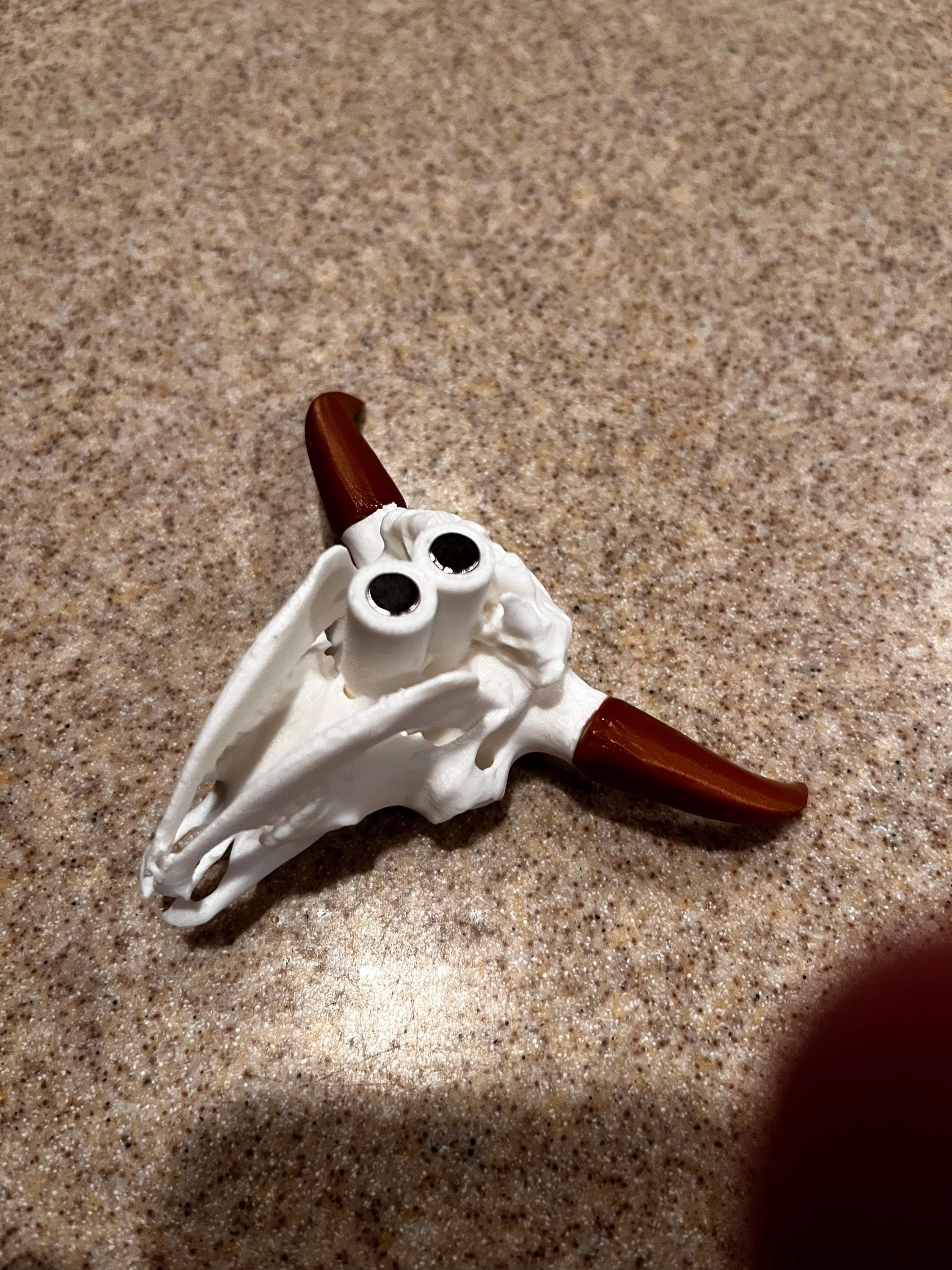 Bison Skull Fridge Magnet (3D Printed PLA Plastic)